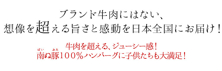 ブランド牛肉にはない、想像を超える旨さと感動を日本全国にお届け! 牛肉を超える、ジューシー感!
南ぬ豚100%ハンバーグに子供たちも大満足!