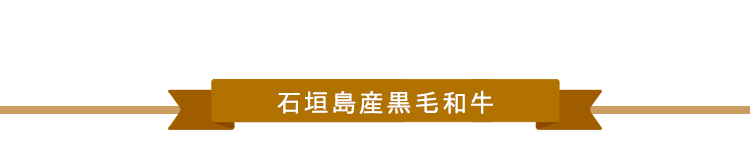 石垣島産黒毛和牛