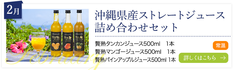 2月：沖縄県産ストレートジュース詰め合わせセット